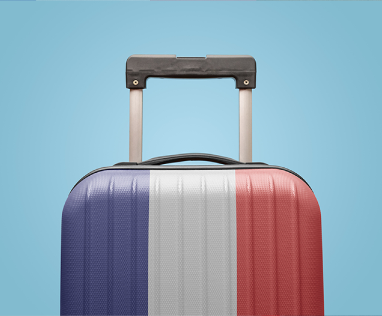 Valise aux couleurs de la France